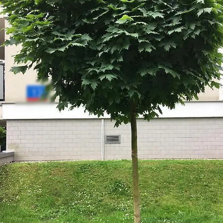 Minimalistyczne Gniazdko U Ady Διαμέρισμα